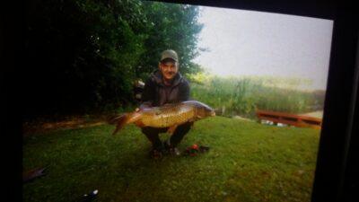 Paprastasis karpis, 11,5 kg