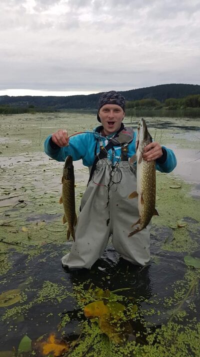 Lydeka, 2,4 kg