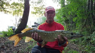 Lydeka, 3,4 kg