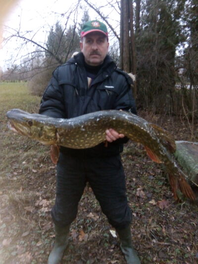 Lydeka, 7,0 kg