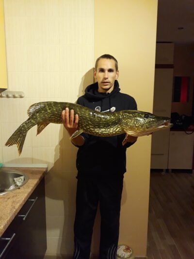 Lydeka, 6,8 kg