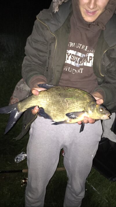 Karšis, 3,0 kg