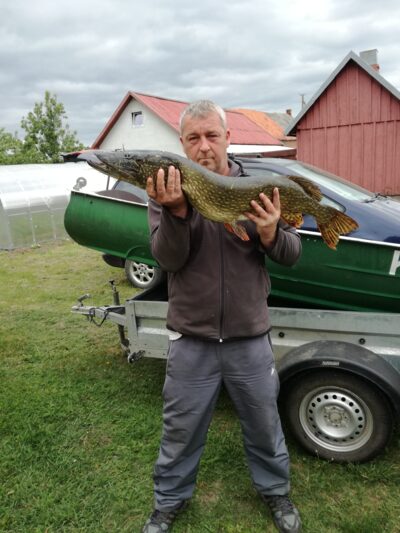 Lydeka, 7,2 kg