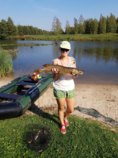 Lydeka, 3,5 kg