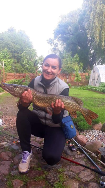 Lydeka, 2,9 kg — Talkša