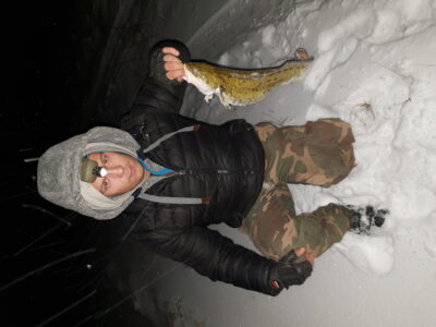 Vėgėlė, 1,8 kg