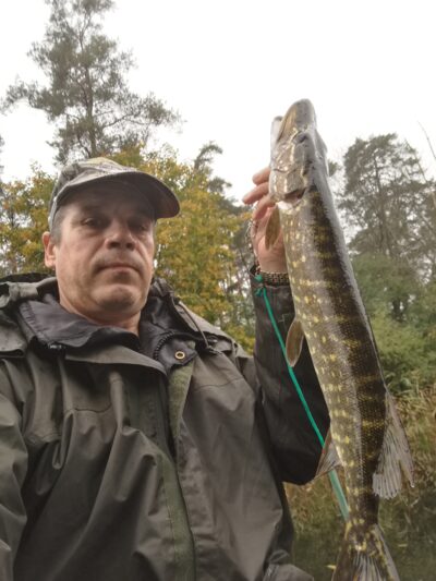 Lydeka, 1,2 kg