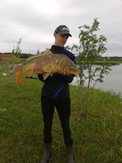 Paprastasis karpis, 7,0 kg