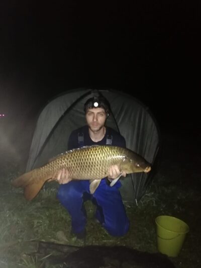 Paprastasis karpis, 9,5 kg