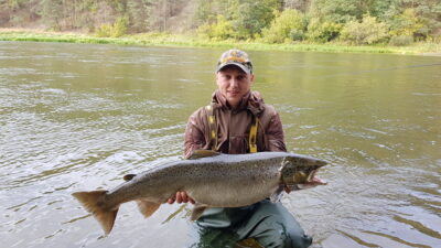 Atlantinė lašiša, 10,2 kg