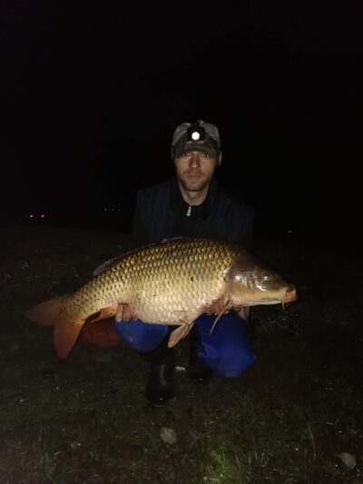 Paprastasis karpis, 11,4 kg