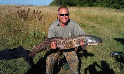 šamas, 12,2 kg