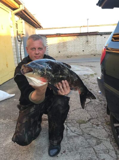 Margasis plačiakaktis, 5,5 kg