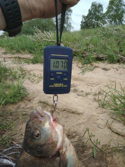 Karšis, 1,0 kg — Nemunas