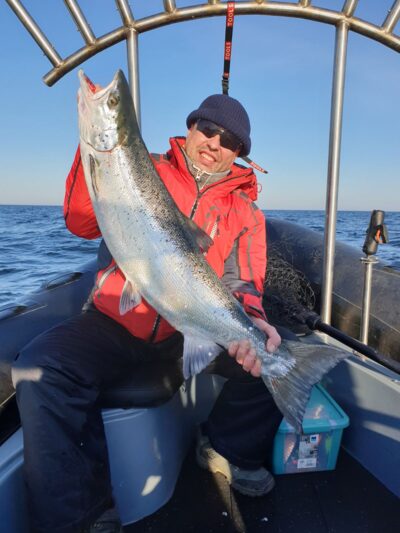 Atlantinė lašiša, 12,0 kg