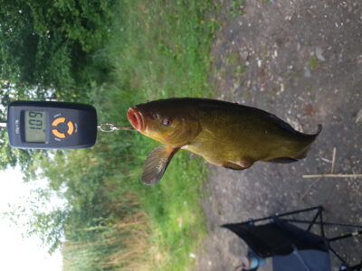 Lynas, 1,0 kg