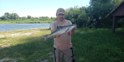 Starkis, 2,0 kg — Skirvytė