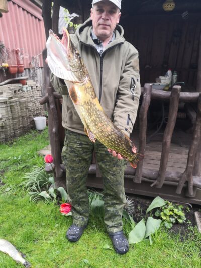 Lydeka, 4,9 kg