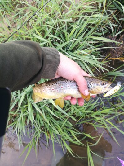 Upėtakis