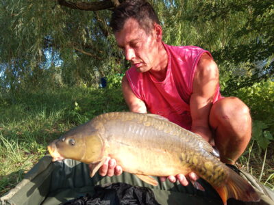 Paprastasis karpis, 5,0 kg