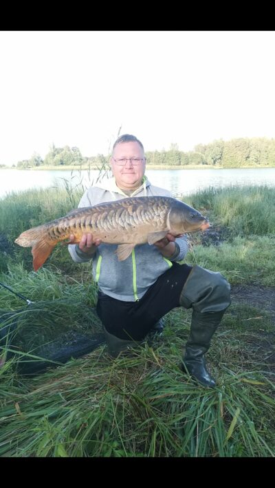 Paprastasis karpis, 9,6 kg