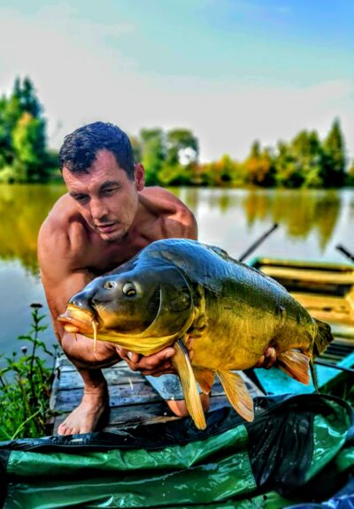 Paprastasis karpis, 14,1 kg