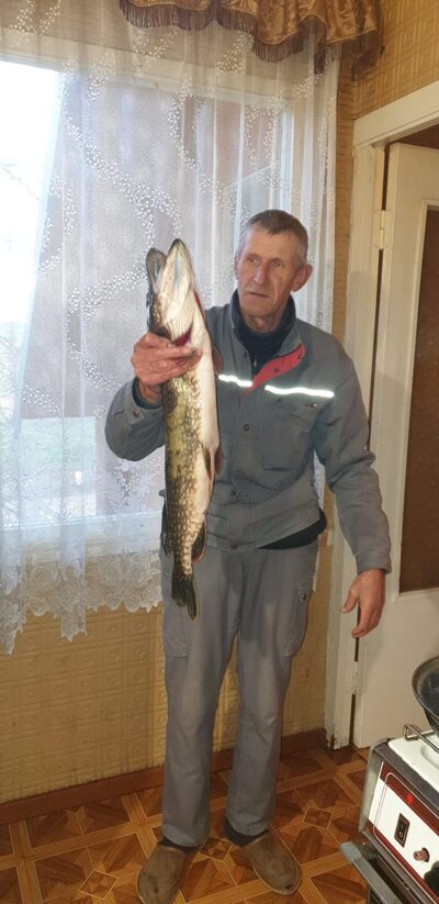 Lydeka, 3,1 kg — Mūša