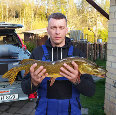 Lydeka, 2,7 kg — Galuonai