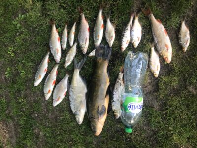 Lynas, 2,0 kg