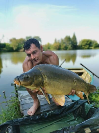 Paprastasis karpis, 14,4 kg