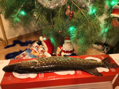 Lydeka, 1,0 kg — Smeltalė