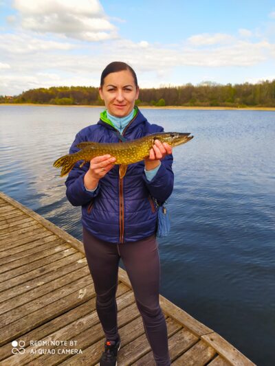 Lydeka, 1,2 kg