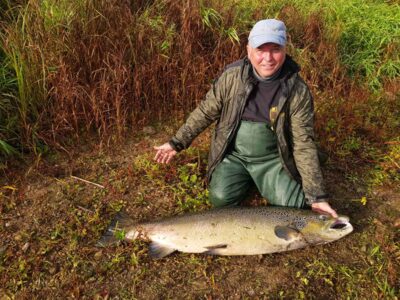 Atlantinė lašiša, 23,5 kg