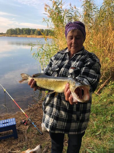 Lydeka, 1,5 kg