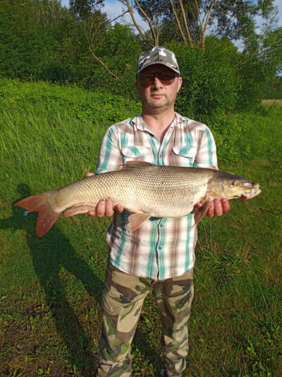 Paprastasis ūsorius, 3,9 kg — Nemunas