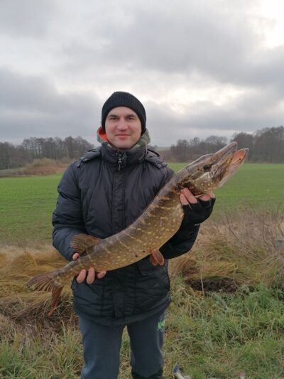 Lydeka, 4,3 kg