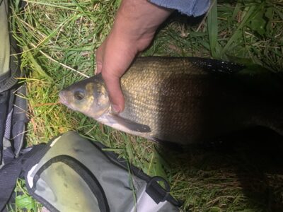 Karšis, 0,9 kg — Rubikių