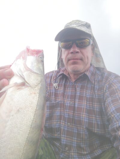 Starkis, 2,3 kg — Kuršių