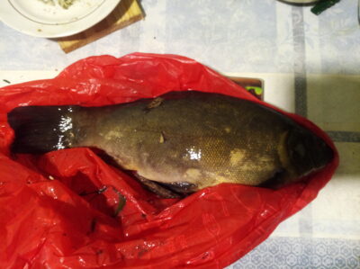 Lynas, 1,1 kg