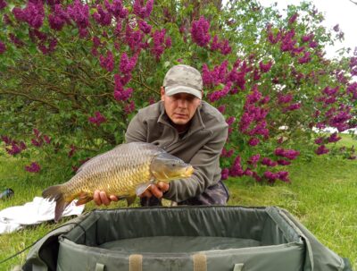 Paprastasis karpis, 3,3 kg