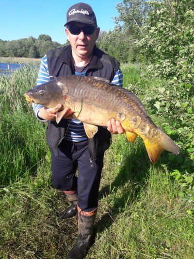 Paprastasis karpis, 9,0 kg — Užvenčio