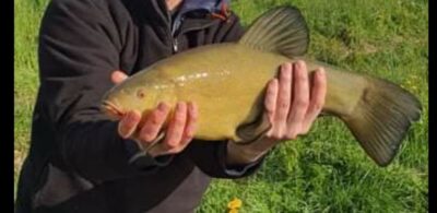 Lynas, 2,0 kg — Vėjinės