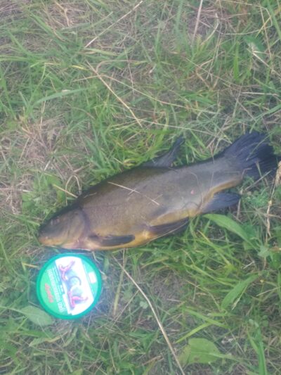 Lynas, 1,1 kg