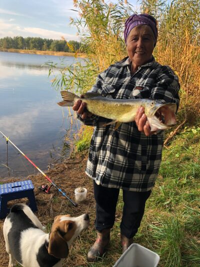 Lydeka, 1,5 kg