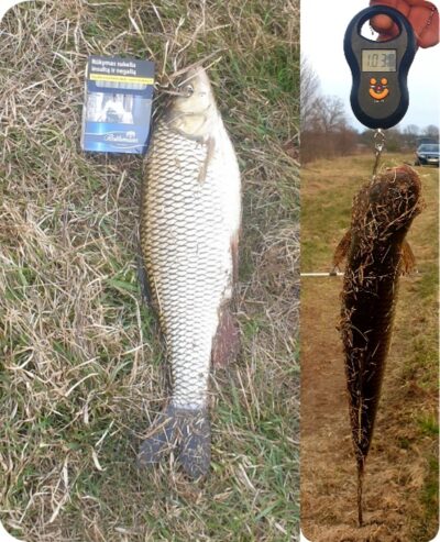 šapalas, 1,0 kg — Merkys