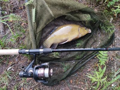 Lynas, 0,7 kg