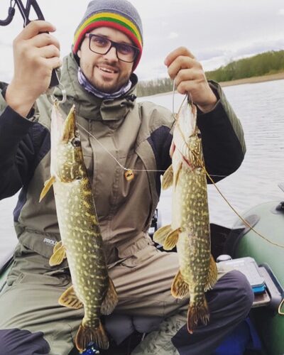 Lydeka, 1,5 kg