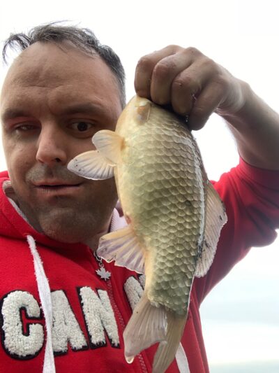 , 1,3 kg