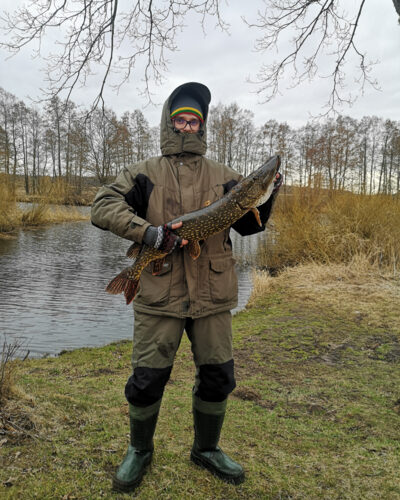 Lydeka, 4,5 kg