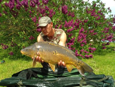 Paprastasis karpis, 8,7 kg